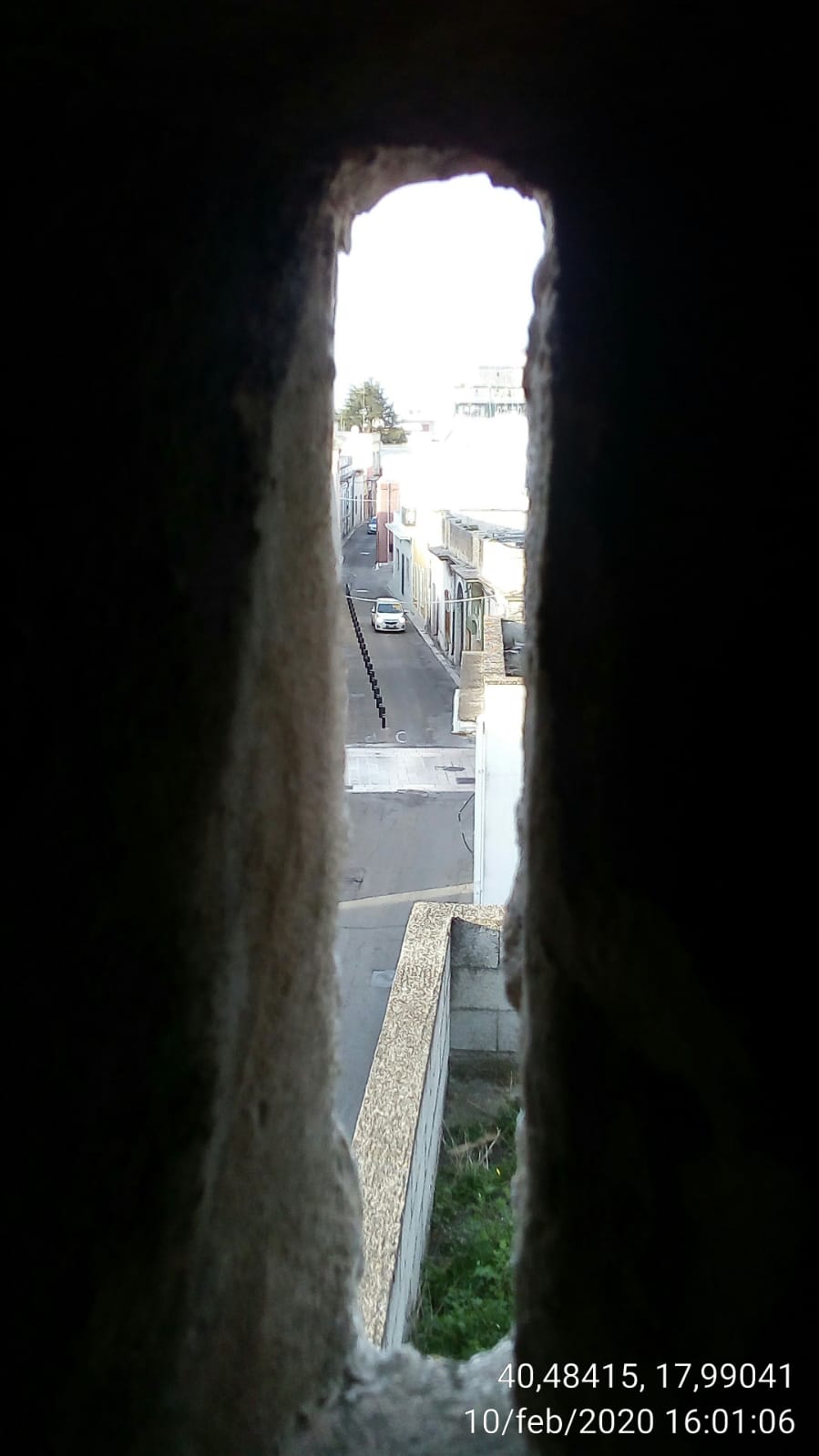 Foto: Varie - Immagine 2